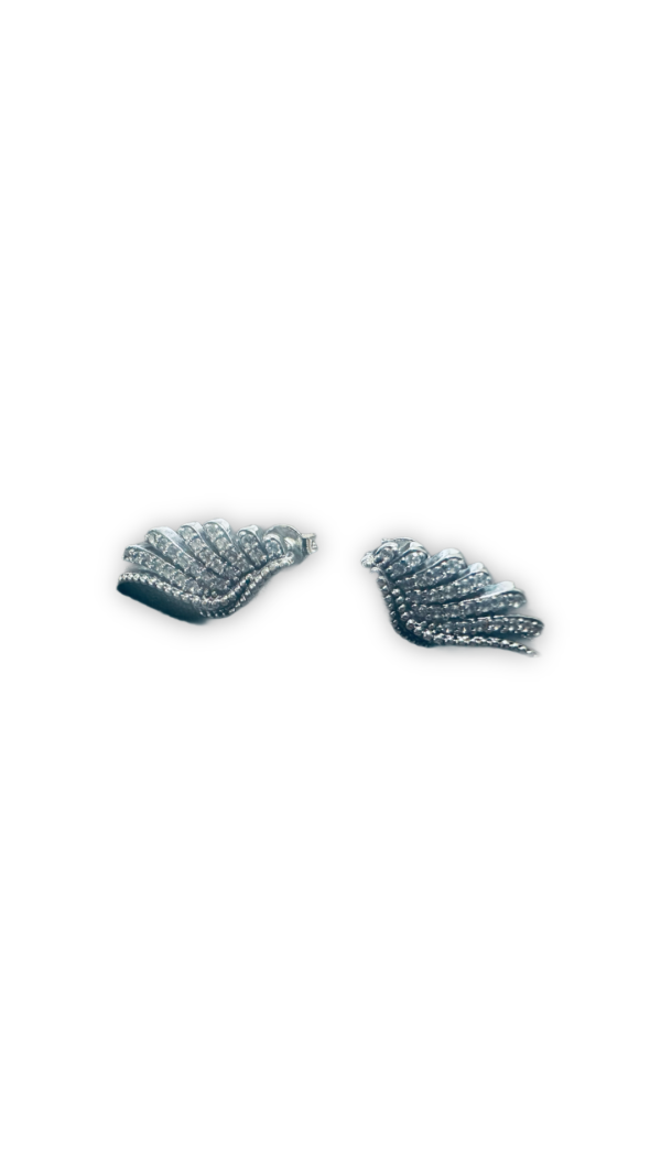 Aretes alas brillantes